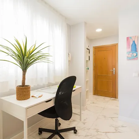 Family Auditorio 大加那利岛拉斯帕尔马斯